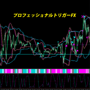 プロフェッショナルトリガーFX検証
