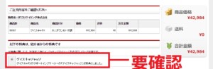 ゲイスキャFX特典