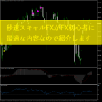 秒速スキャルFXがFX初心者に最適な内容なので紹介します