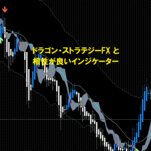 ドラゴン・ストラテジーFX （ドラストFX）と相性が良いインジケーター