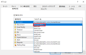 Choose　otherの説明画像