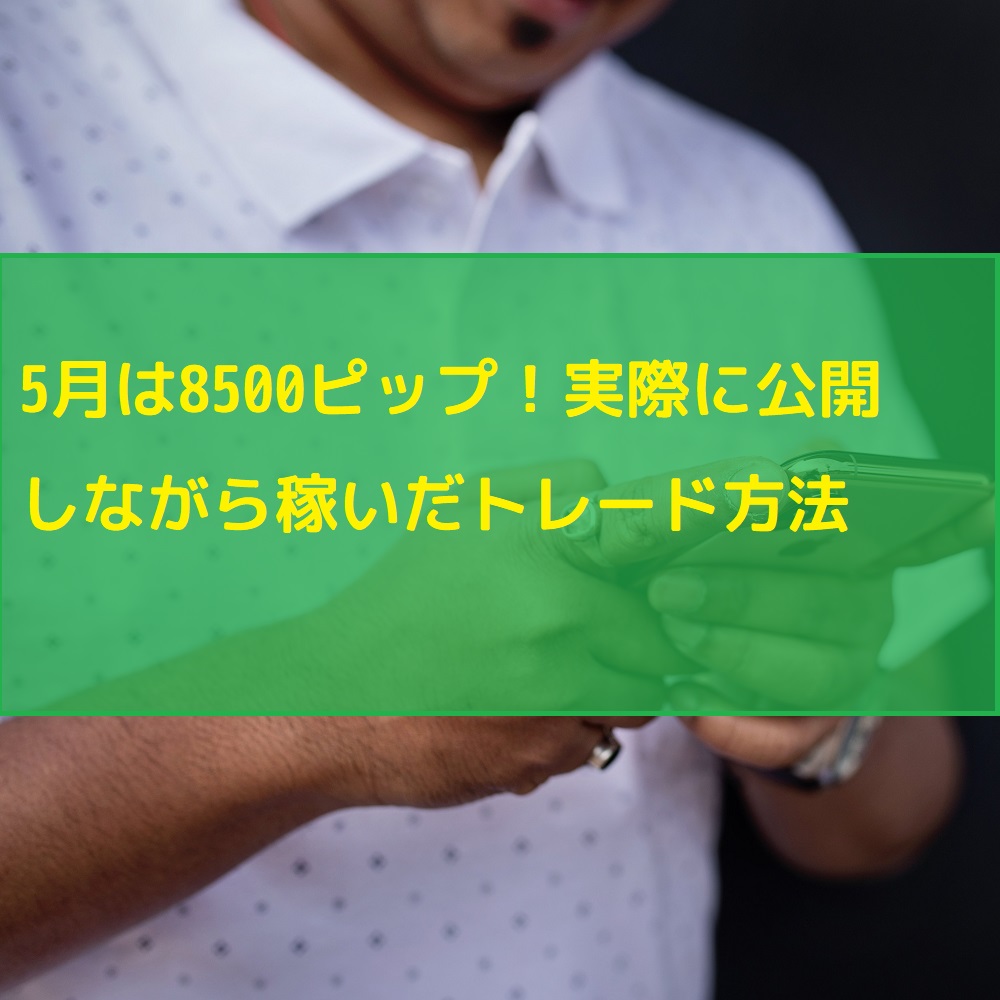 5月は8500ピップス!実際に公開しながら稼いだトレード方法
