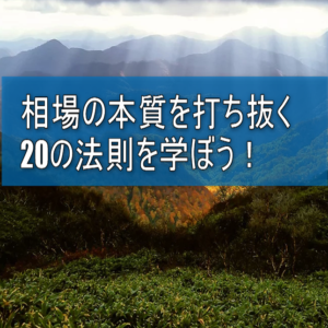 相場の本質を打ち抜く20の法則イメージ画像