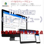 Tradeview（トレードビュー）での口座開設の特徴や注意点